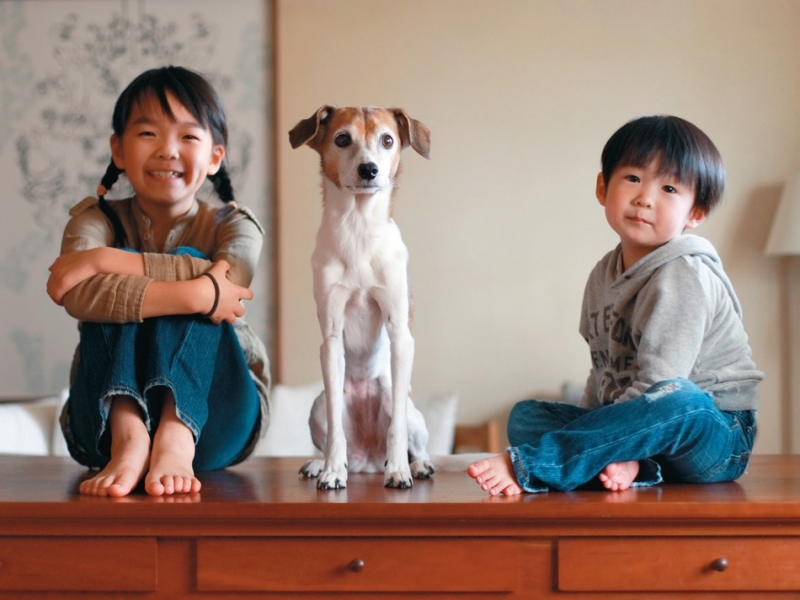 关于幸福，不同人有不同的解释，而对于森友治来说，幸福或许就是和妻子、两个孩子、两只爱犬一起过宁静平和的生活。现年41岁的日本摄影师森友治用他手中的相机记录了家庭生活中的点点滴滴，拍摄场景多为他朴素而不失精致的家中：木制地板、原木家具、亚麻窗帘、郁郁葱葱的绿植、晶莹剔透的玻璃杯……这一切的一切，平凡却不单调，简单却不简约。
