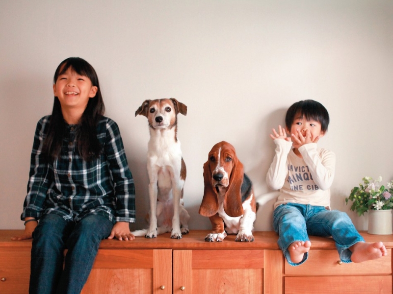 关于幸福，不同人有不同的解释，而对于森友治来说，幸福或许就是和妻子、两个孩子、两只爱犬一起过宁静平和的生活。现年41岁的日本摄影师森友治用他手中的相机记录了家庭生活中的点点滴滴，拍摄场景多为他朴素而不失精致的家中：木制地板、原木家具、亚麻窗帘、郁郁葱葱的绿植、晶莹剔透的玻璃杯……这一切的一切，平凡却不单调，简单却不简约。