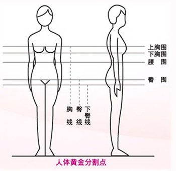 新丝路教您三围算法解除烦恼