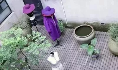 吕燕