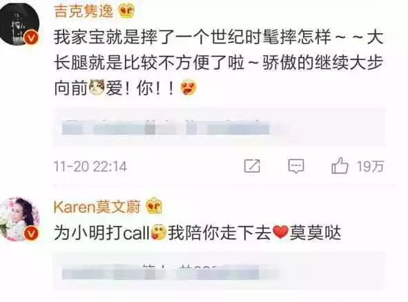 国内明星的评价